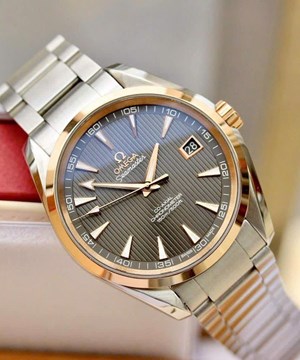 Omega AquaTerra 150m Co-Axial 18k 231.20.42.21.06.002 