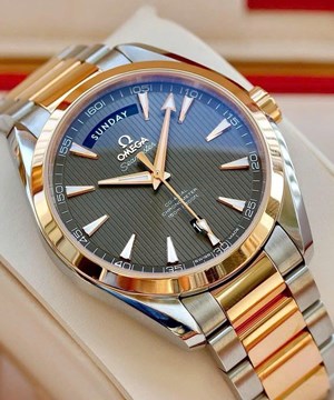 Omega Seamaster Aqua Terra Day Date 231.20.42.22.06.001