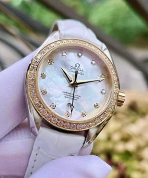 Omega Seamaster Aqua Terra 231.28.34.20.55.004