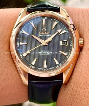 Seamaster AquaTerra 18k  231.53.42.21.06.001 